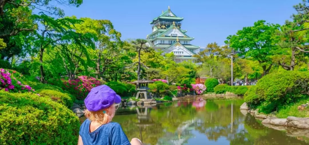 Osaka Family Day Tour with Local Guide