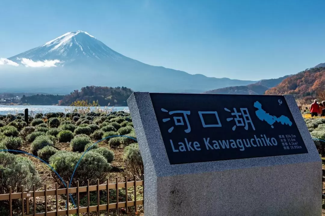 富士山地區熱門景點私人遊（東京出發）