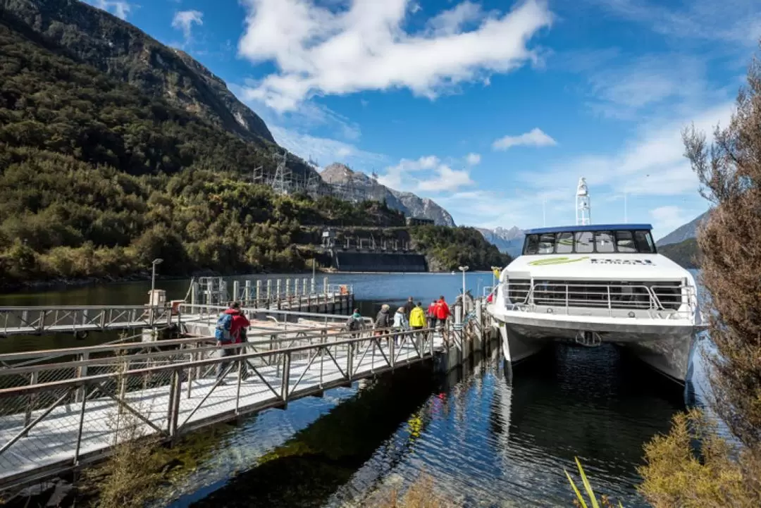 Doubtful Sound Wilderness Cruise Half Day Tour