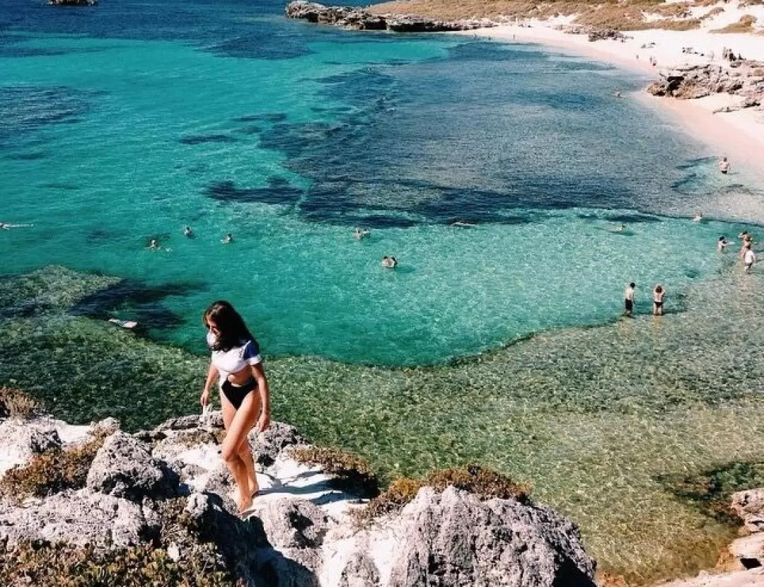 Rottnest Island Iconic Boat Tour from Perth or Fremantle