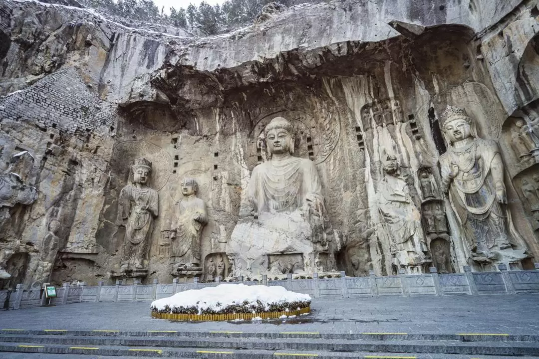 Luoyang, Henan 1-Day Tour (Longmen Grottoes + White Horse Temple)