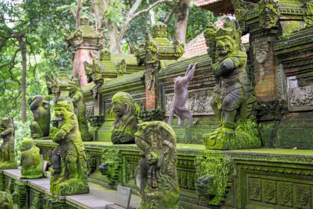 Private Sightseeing Custom Tour for Ubud & Surroundings