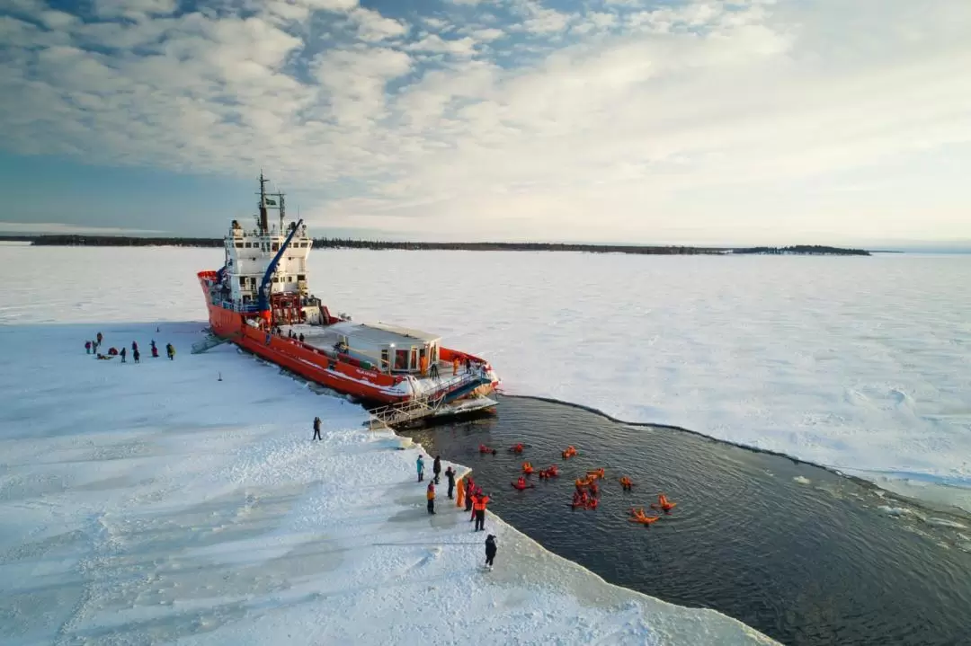 북극 탐험 쇄빙선 크루즈 (이동 서비스 선택 가능)