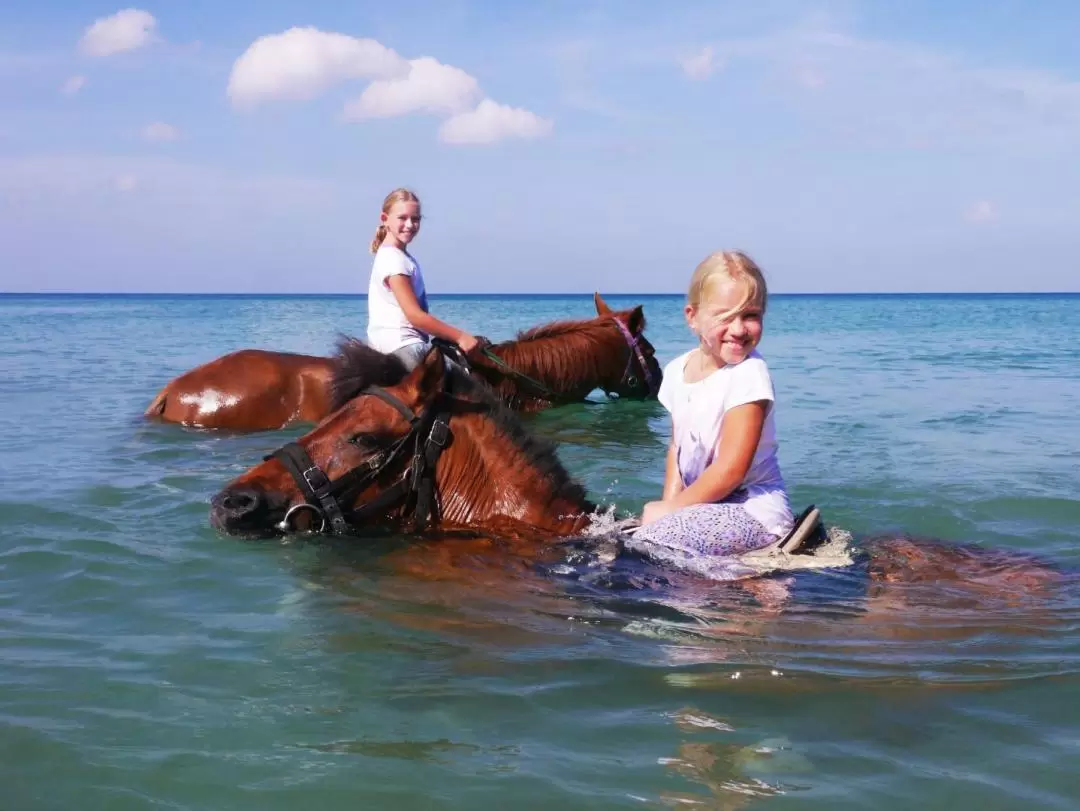 Horseback Riding Experience in Phuket