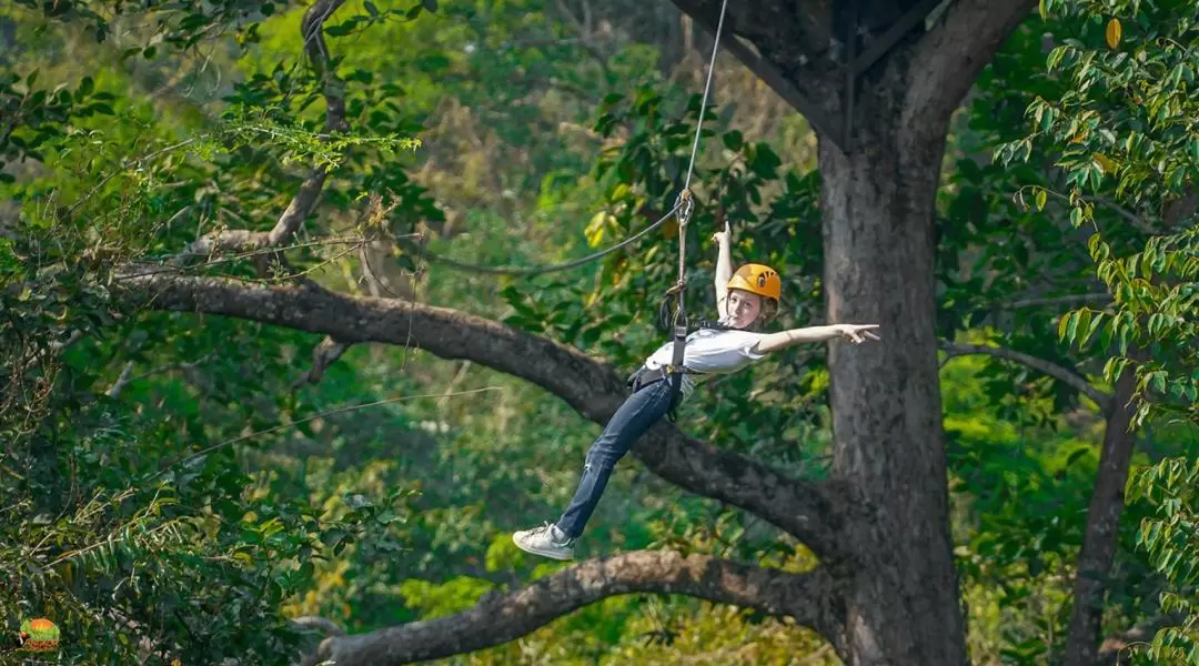 Angkor Zipline