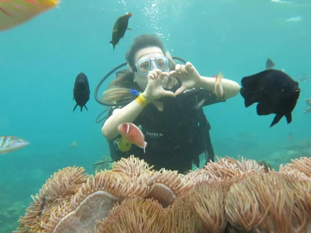 Scuba Diving Experience at Coral Reef from Nha Trang