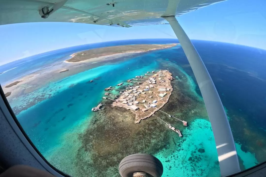 Abrolhos Islands and Pink Lake Scenic Flight tour from Kalbarri