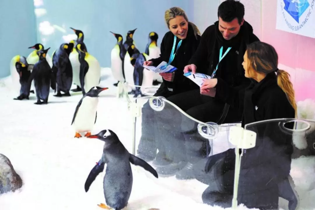 墨爾本海洋生物水族館「企鵝王國之旅」護照