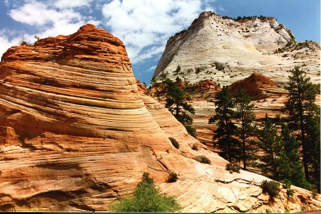 Zion National Park Day Tour from Las Vegas