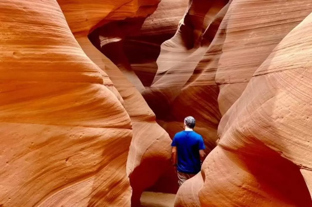 Antelope Canyon Multiple Route Bus and Walking Tours