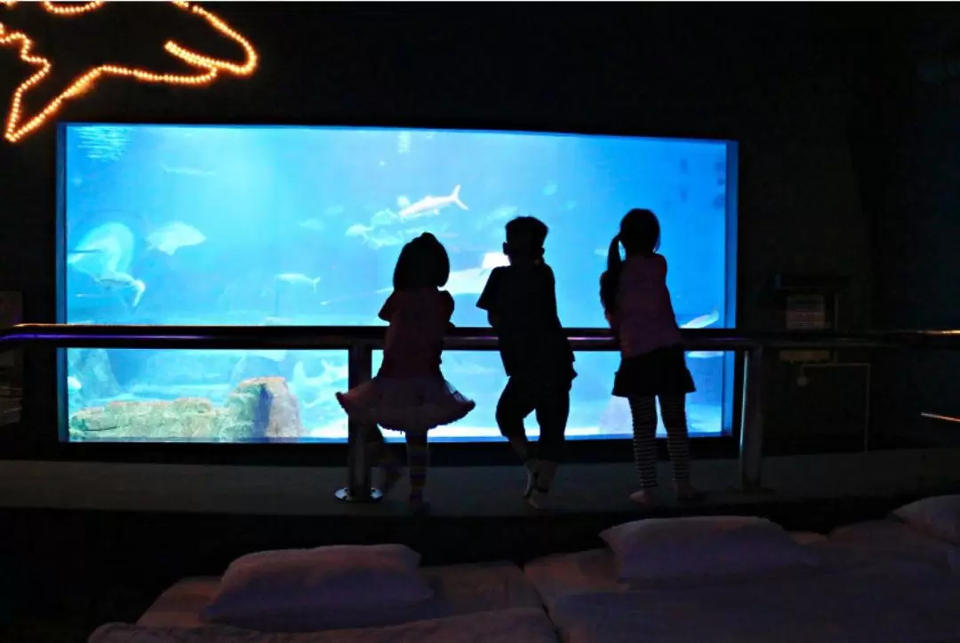 Farglory Oceanpark Sleepover Experience in Hualien