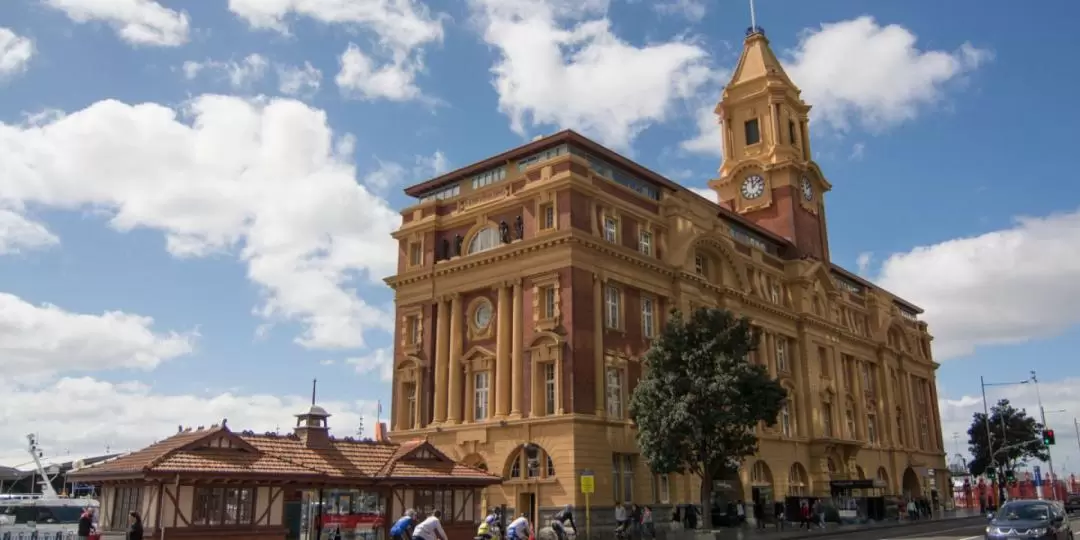 3-Hour Auckland City Tour Revealed