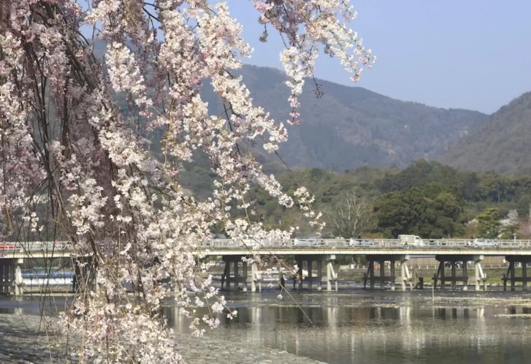 Arashiyama Morning Walking Tour with Sagano Romantic Train in Kyoto