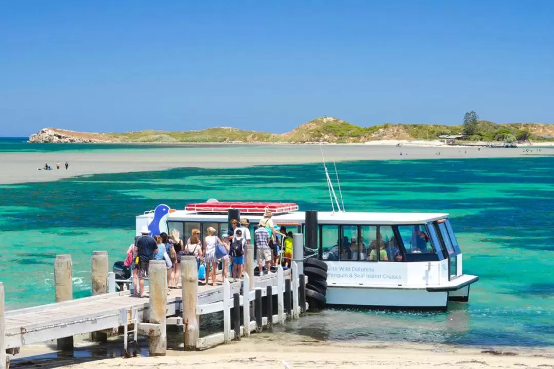 Dolphin, Penguin and Sea Lion Cruise in Rockingham