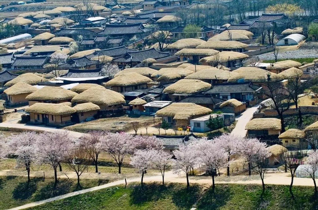 安東河回民俗村之旅