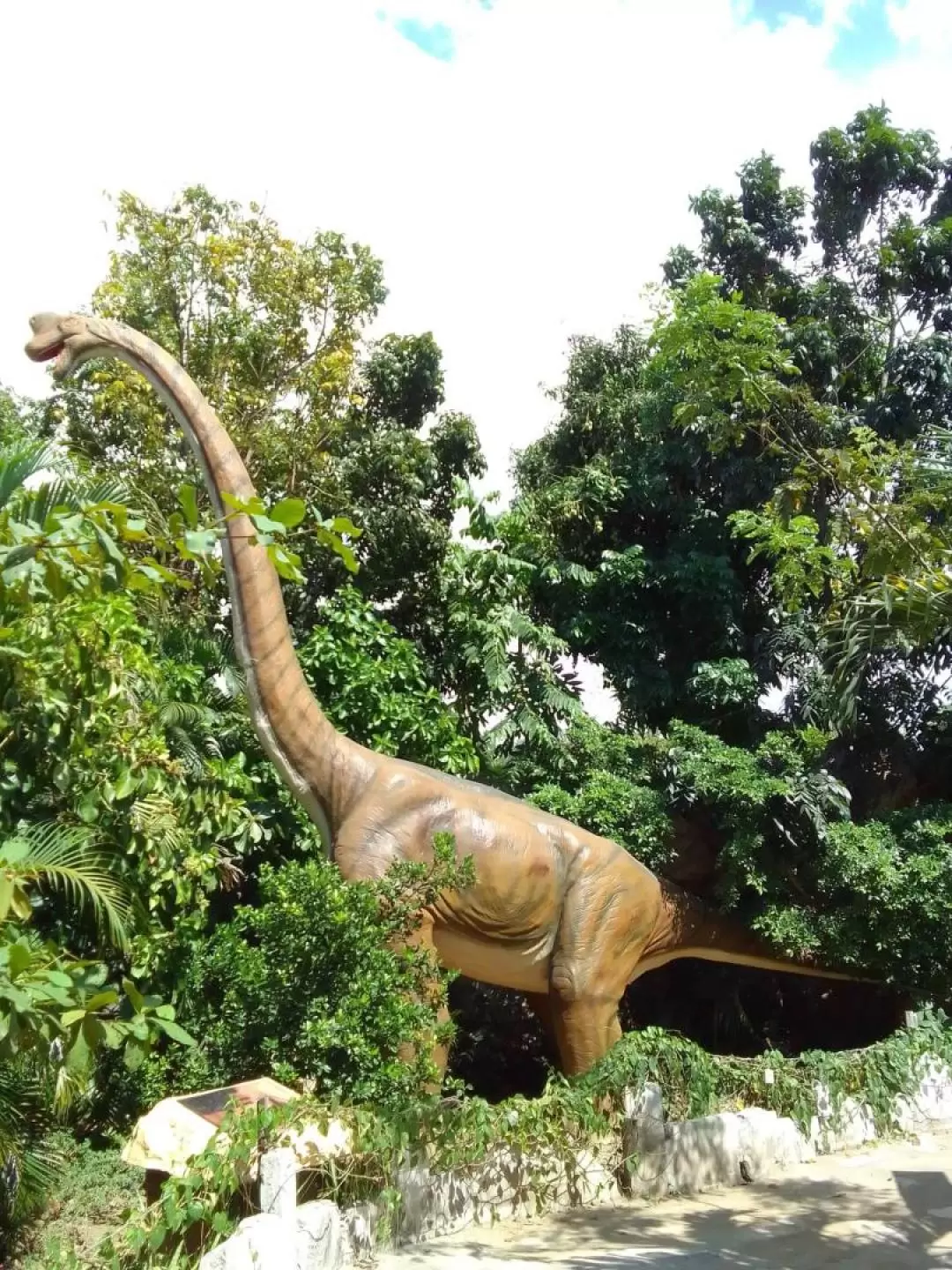 Dinosaurs Island Ilocos Ticket