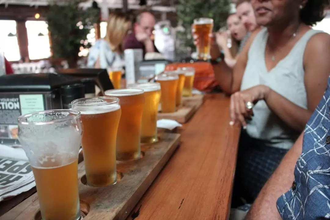 Newcastle Craft Beer and Food Matching Walking Tour