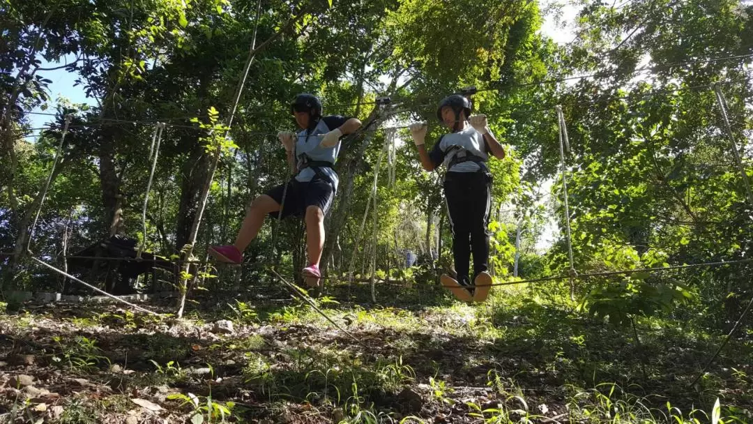 Hualien: Zipline Experience at Wild Monkey Adventure Jungle 