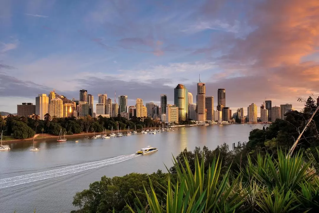 Outdoor Rock Climbing Experience in Brisbane