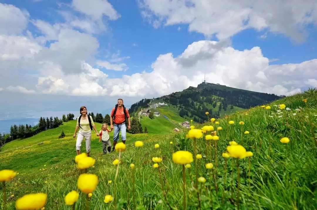 Day Trip to Mount Rigi from Zurich