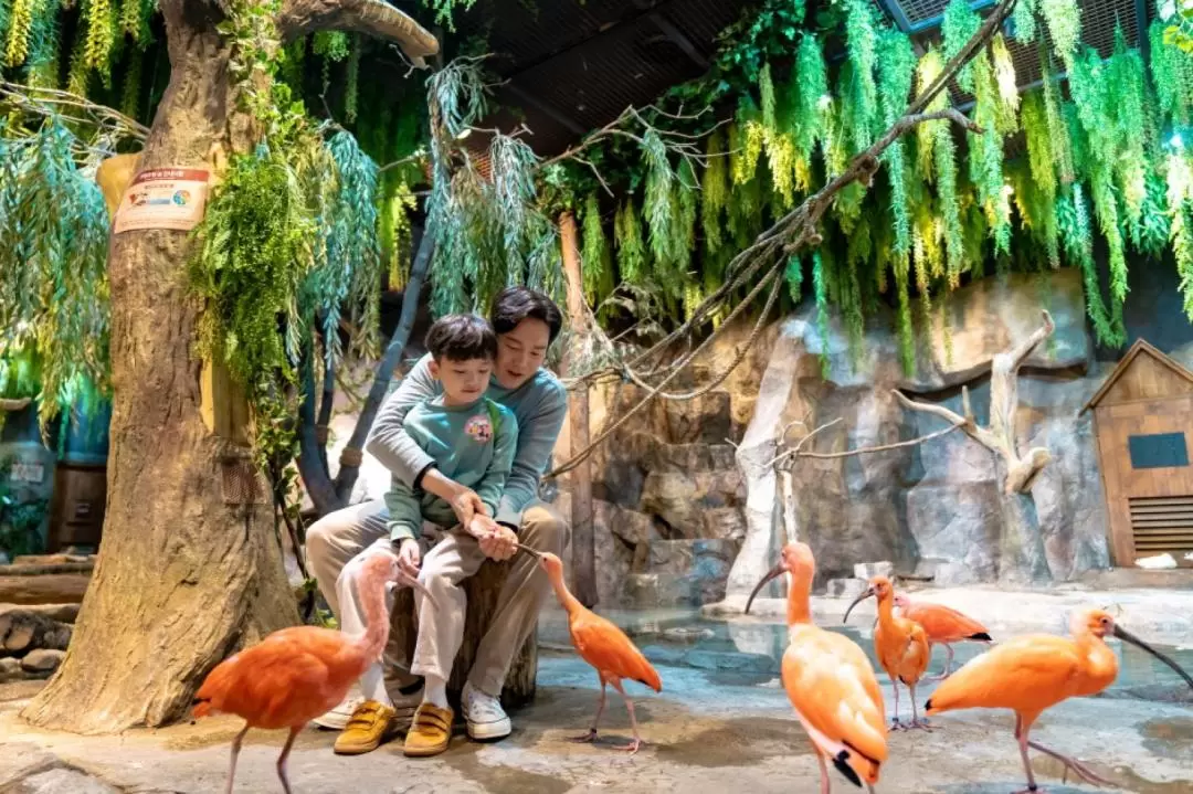 首爾Zoolung Zoolung室內動物主題樂園門票