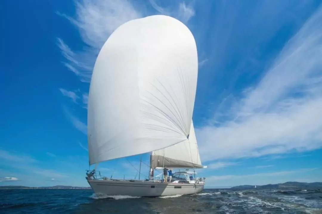 Derwent River Charter in Hobart