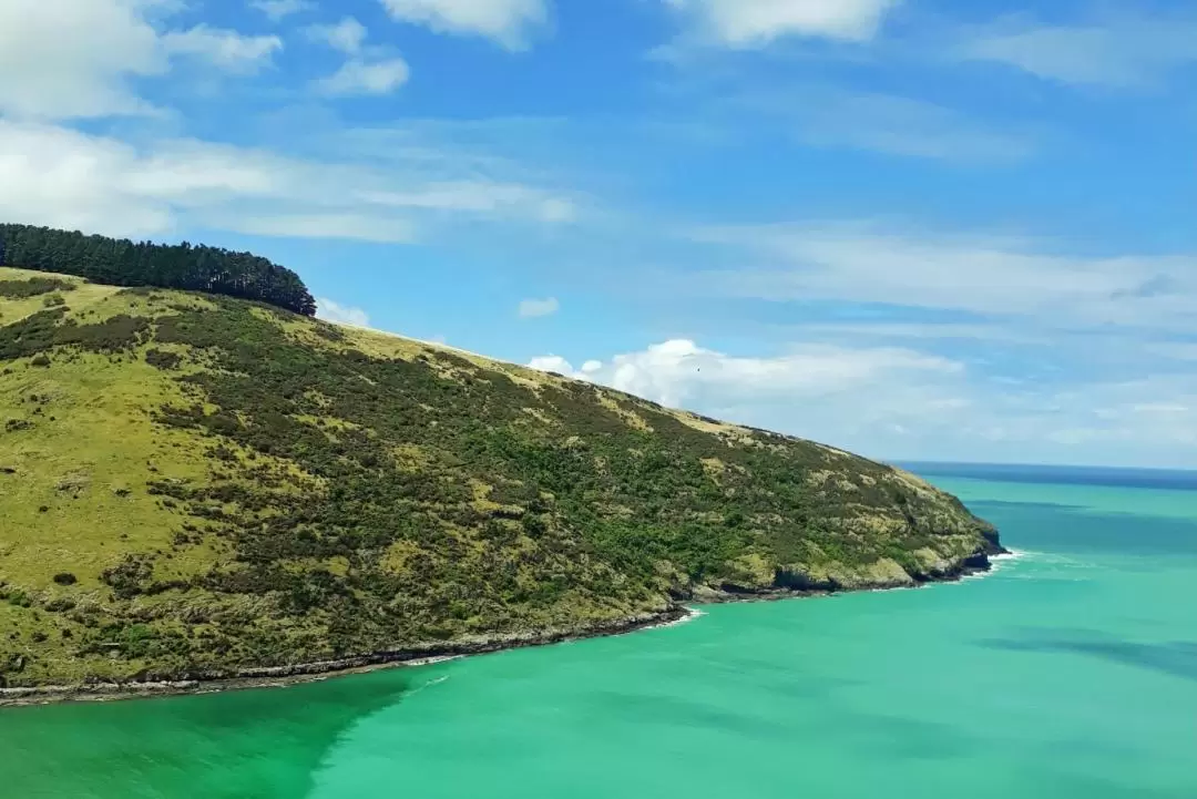 Akaroa Scenic Nature 4-WD Tour from Akaroa