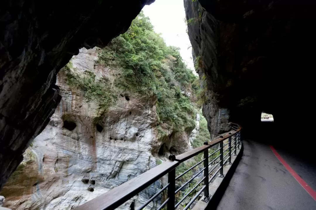 Taroko Gorge, Swallow Grotto, & Seven Star Lake Day Tour 