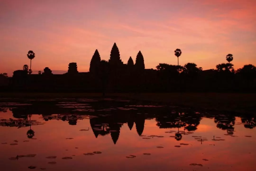 Angkor Wat Sunrise Tour by Vespa