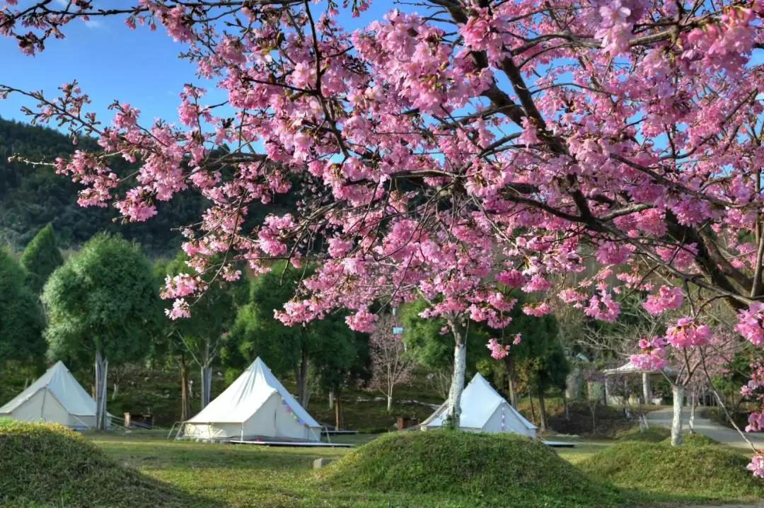 Fall in Love with Xiong Glamping in Hsinchu