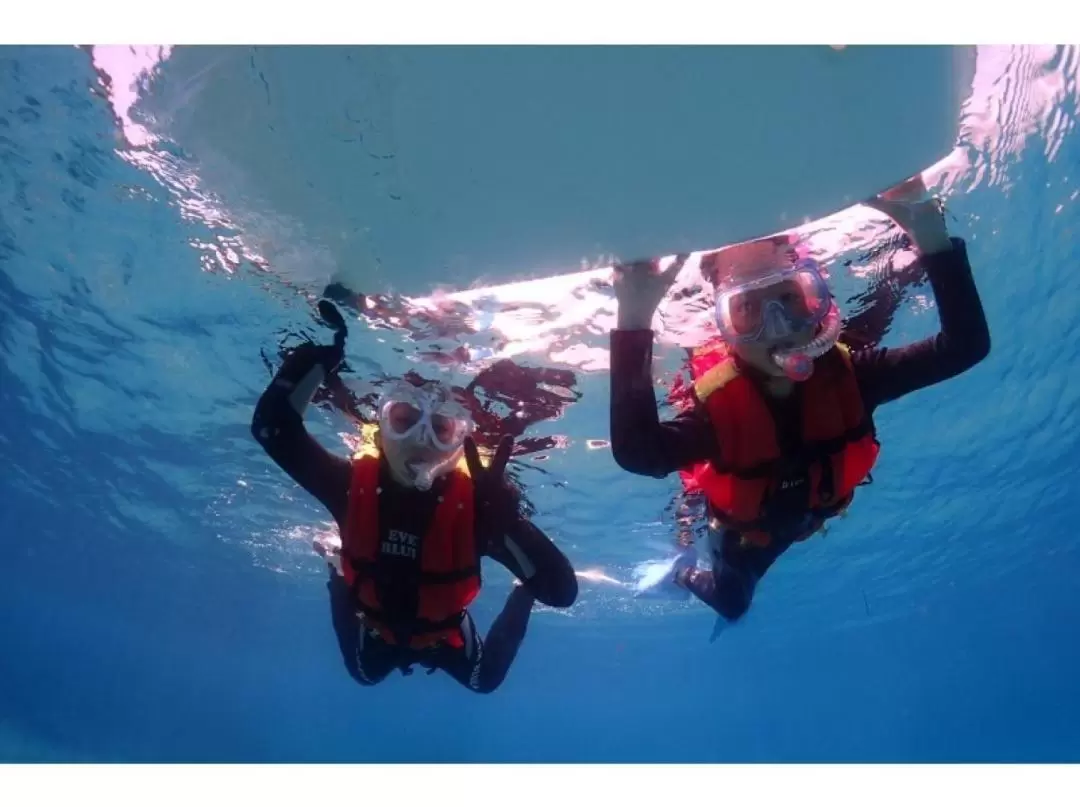 Snorkeling Experience in Yakushima