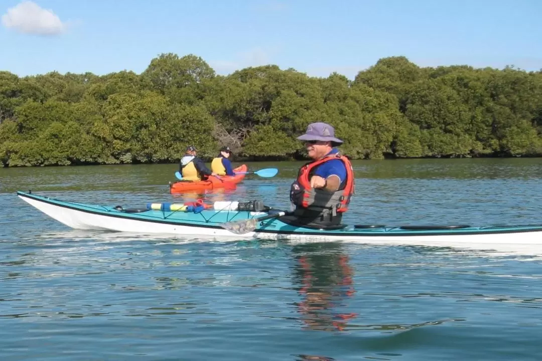 Dolphin Sanctuary and Ships Graveyard Kayak Tour