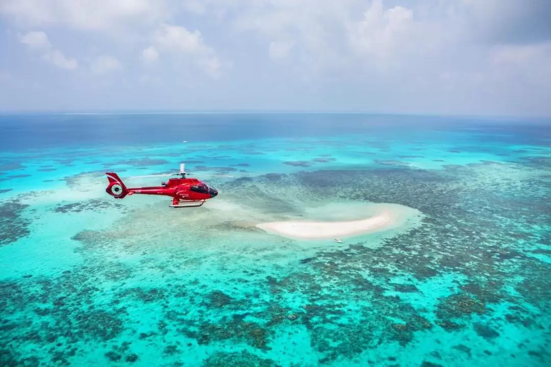 Reef and Rainforest Helicopter Flight from Cairns or Port Douglas