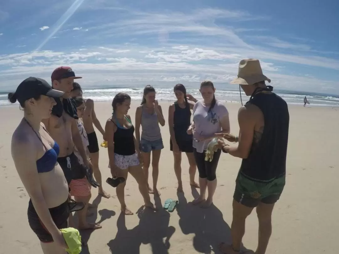 黄金海岸皮划艇赏海豚 & 浮潜导览之旅