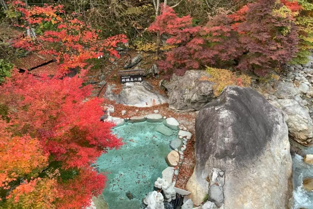 平湯温泉 & Shin-Hodaka温泉體驗（高山出發）