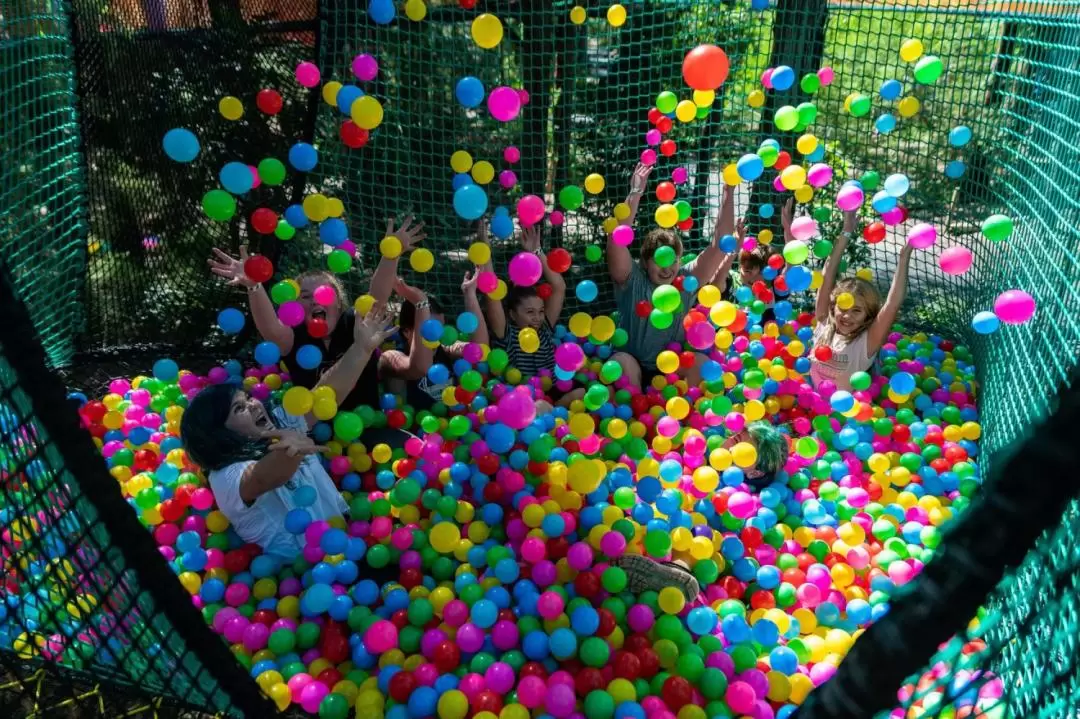 Tree Ropes Course and Net World Experience in Central Coast