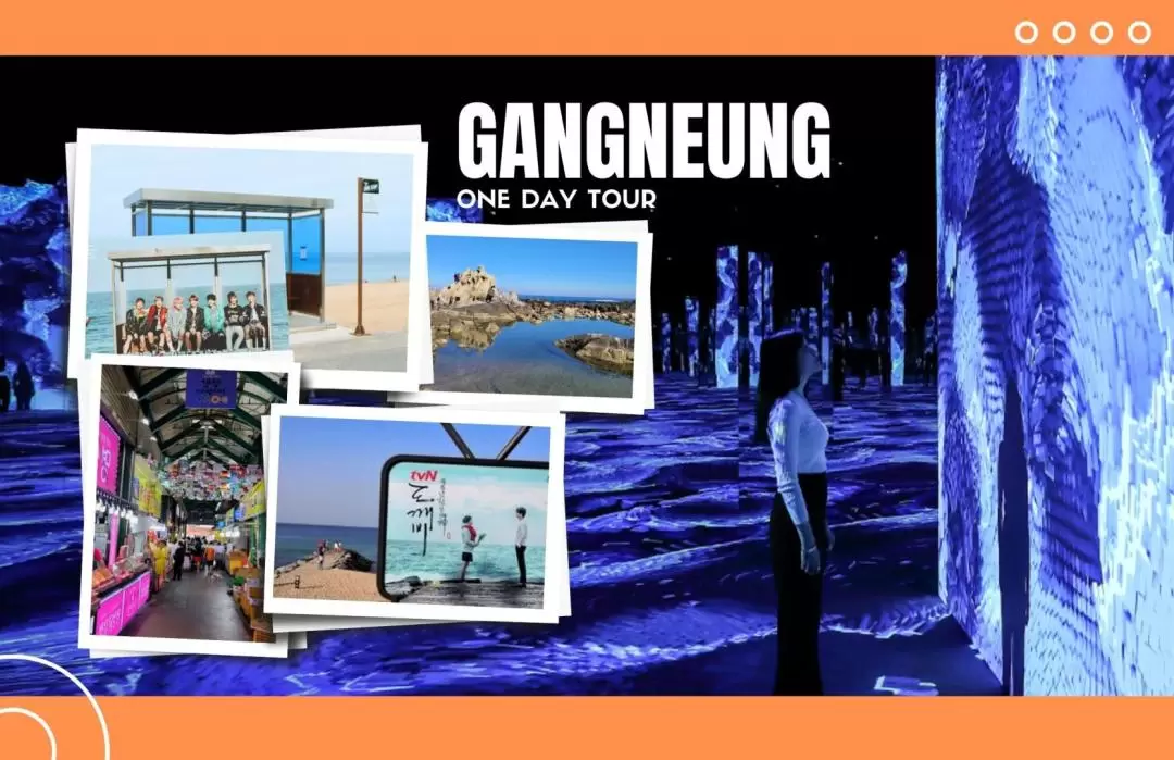 Gangneung check-in hotspot! BTS Bus Station, Arte Museum Gangwon-do Tranquil and Elegant Coast Day Tour (Depart from Seoul)