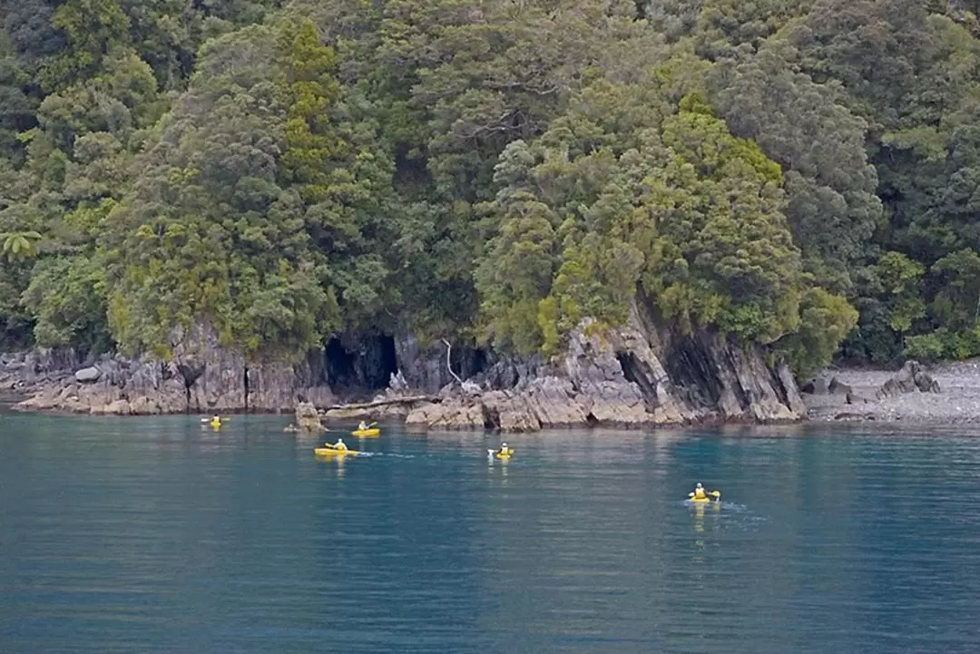 Milford Mariner Overnight Cruise and Kayak in Milford Sound