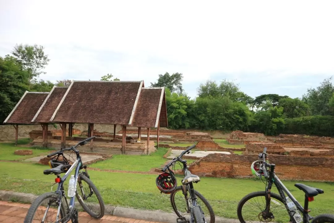 Chiang Mai: Guided Bike & Regional Culture Tour