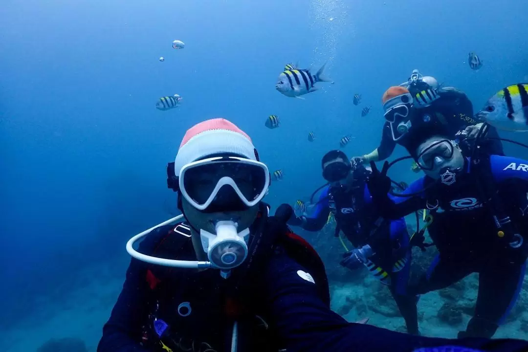 Try Diving and Open Water Diver Course in Pingtung