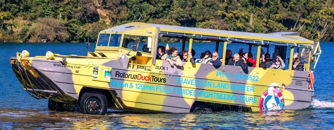 市内・湖 観光ツアー（ロトルア）