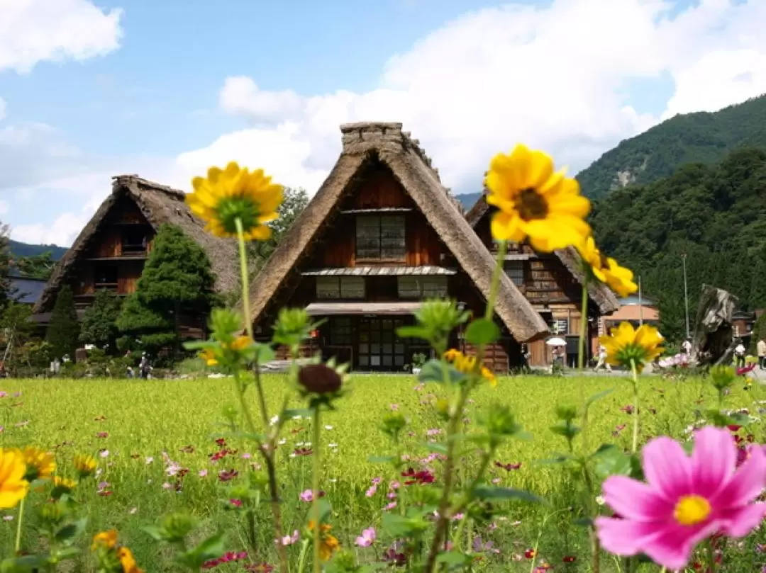 飛騨高山・白川郷 日帰りツアー（岐阜 / 名古屋発）