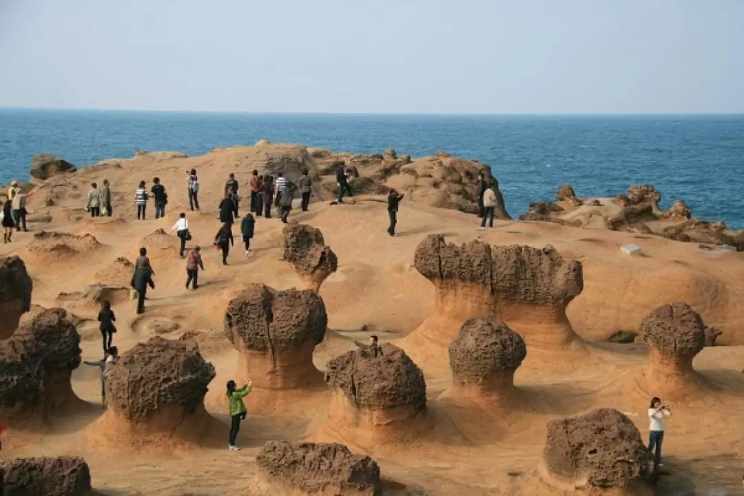 野柳・金瓜石・九份・十份 日帰りツアー（台北発）