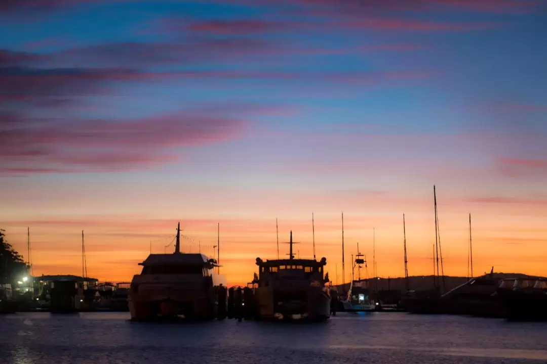 Port Stephens Eats 'N' Beats Dining Cruise Experience