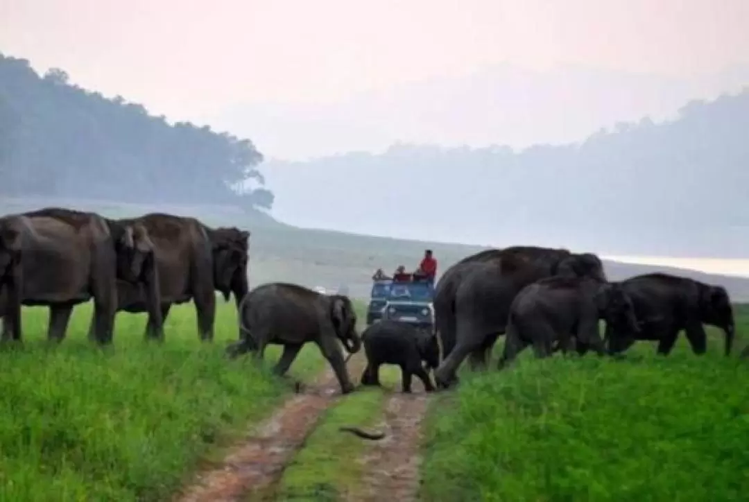 4D3N Jim Corbett And Nainital Tour From Delhi