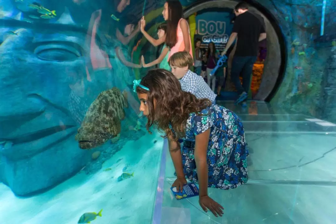 奧蘭多海洋生物水族館門票