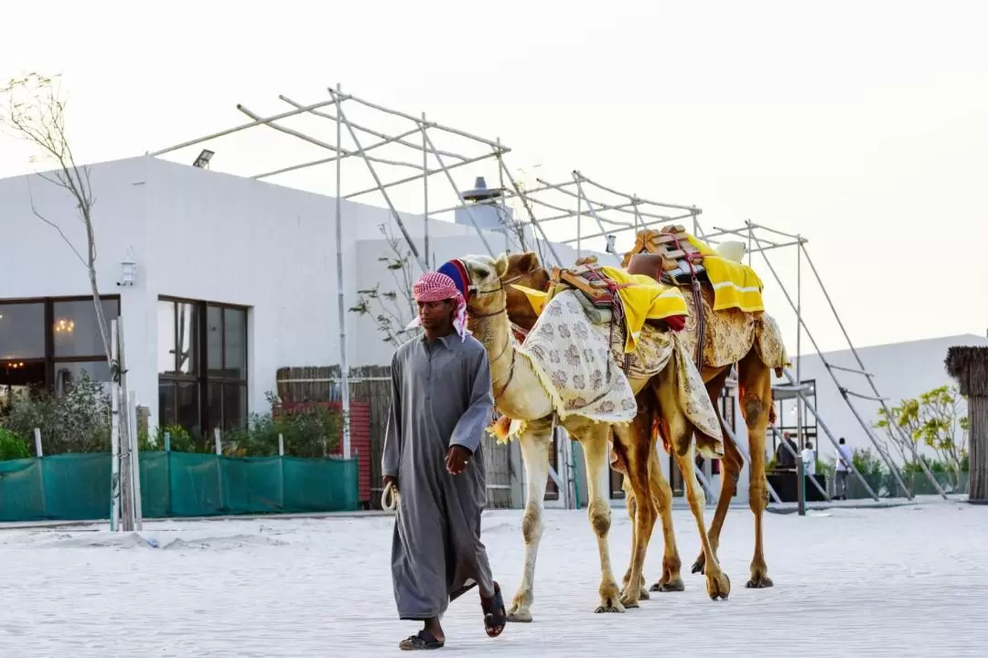 Full-Day Desert Safari in Doha