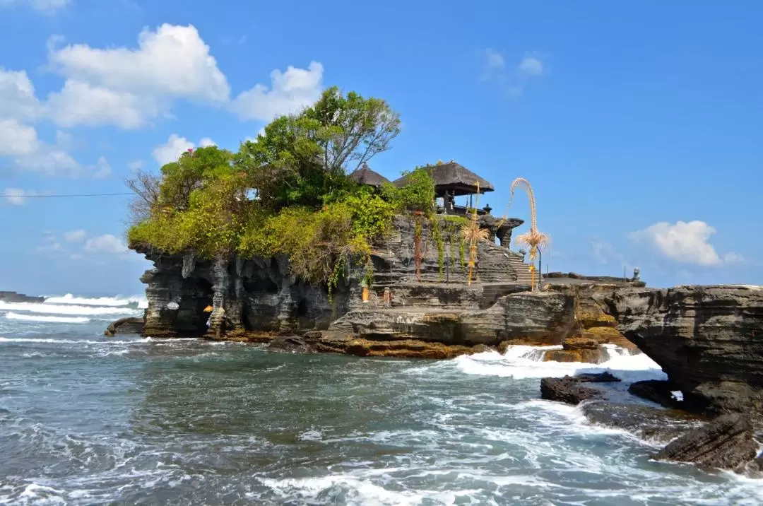 Uluwatu Temple, Tanah Lot and Ubud Private Trip with Korean Speaking Driver