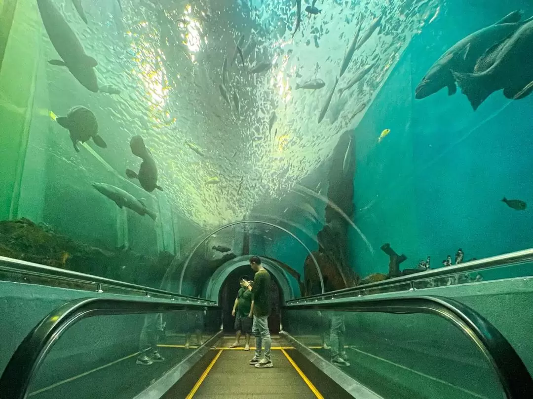 ラヨーン水族館 入館チケット・スアンソンビーチ 日帰り旅行（パタヤ発）