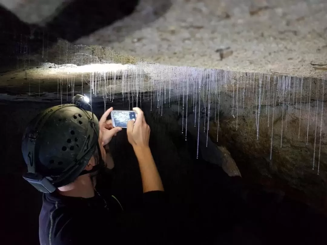 Off the Beaten Track Glow Worm Guided Eco Tour in Waitomo